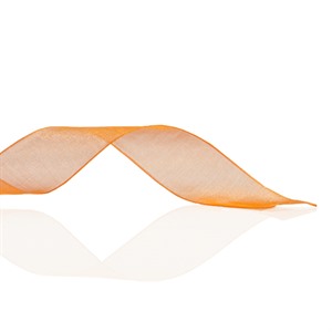 Orange Organza Ribbon [42]