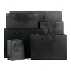Black Matt Laminated Luxury Paper Bags with Rope Handles