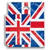 Union Jack Print Standard Plastic Carrier Bags