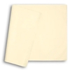 Ivory Coloured Premium Tissue Paper