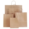 Brown Paper Carrier Bags with Twisted Handles