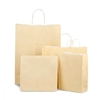 Ivory Coloured Paper Carrier Bags with Twisted Handles