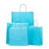 Light Blue Paper Carrier Bags with Twisted Handles