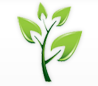 Environment & CSR