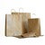 100% Recycled Economy Brown (Unribbed) Paper Bags with Twisted Handles