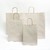 Stone Premium Italian Paper Carrier Bags with Twisted Handles