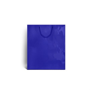 Blue Gloss Boutique Paper Bags