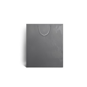 Silver Gloss Boutique Paper Bags